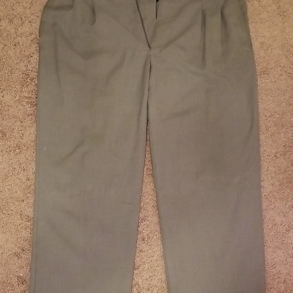 Dress pants